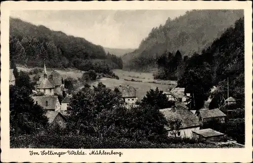 Ak Mühlenberg Holzminden in Niedersachsen, Panorama Ortschaft und Umgebung