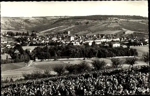 Ak Saint Bris le Vineux Yonne, Vue générale, Ort, Umgebung, Felder