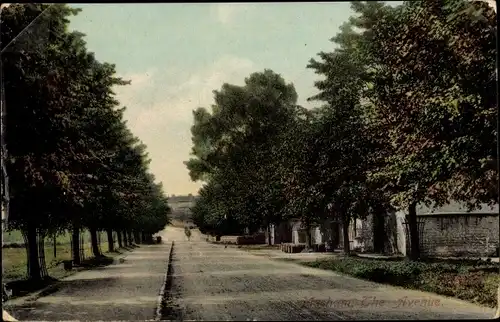 Ak Masham Yorkshire and the Humber England, The Avenue