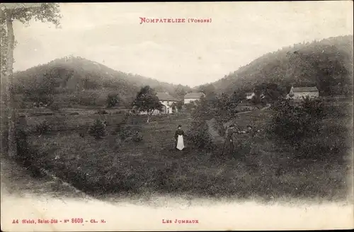 Ak Nompatelize Lothringen Vosges, Les Jumeaux, Häuser, Berge