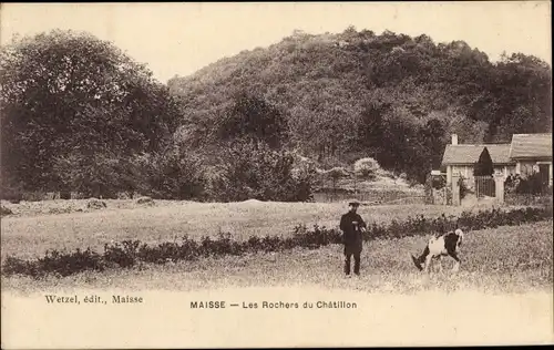 Ak Maisse Essonne, Les Rochers du Chatillon, Ziege