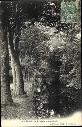 Ak Le Vésinet Yvelines, La rivière sous bois, rive, arbres