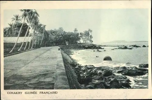 Ak Konakry Conakry Guinea, route côtière, palmiers