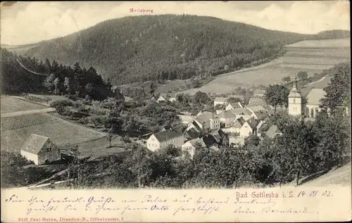 Ak Bad Gottleuba in Sachsen, Blick auf den Ort und Umgebung, Helleberg