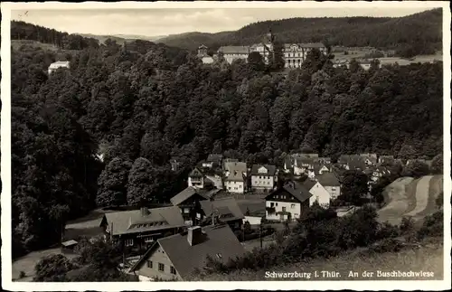 Ak Schwarzburg im Schwarzatal Thüringen, Blick auf den Ort mit Umgebung, Buschbachwiese