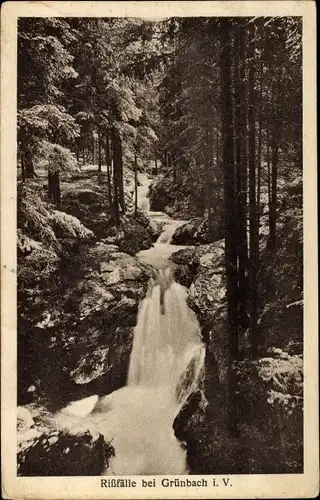 Ak Grünbach im Vogtland Sachsen, Blick auf die Rißfälle, Wald