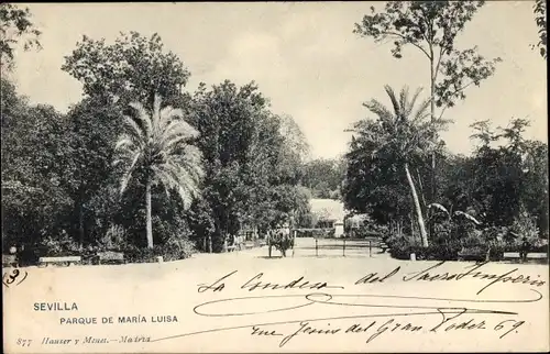 Ak Sevilla Andalusien Spanien, Parque de María Luisa