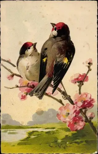 Künstler Ak Klein, Catharina, Zwei Vögel auf einem Zweig