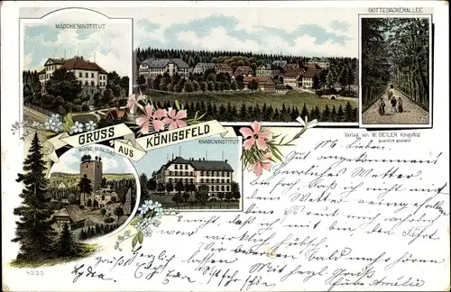 Litho Königsfeld Schwarzwald, Mädcheninstitut, Knabeninstitut, Gottesackerallee, Ruine Waldau
