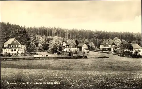 Ak Hirschsprung Altenberg im Erzgebirge, Teilansicht, Sommerfrische