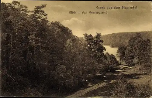 Ak Blumenthal Prötzel Brandenburg, Blick in den Gamengrund