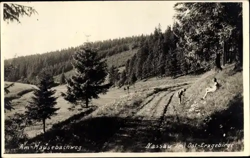 Foto Ak Nassau Frauenstein im Erzgebirge, Kinder am Mäusebachweg