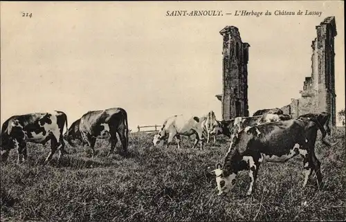 Ak Saint Arnoult Calvados, L'Herbafe du Chateau de Lassay, vaches