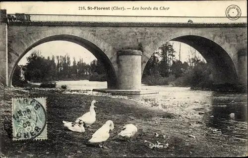 Ak St. Florent Cher, Les bords du Cher, Pont, Enten