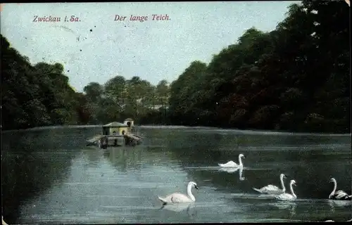 Ak Zwickau in Sachsen, Der lange Teich, Schwäne