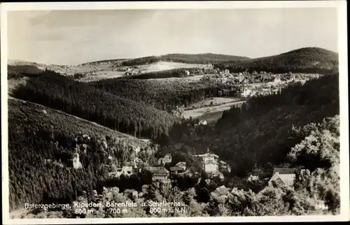 Ak Bärenfels Altenberg im Erzgebirge, Kipsdorf, Bärenfels und Schellerhau