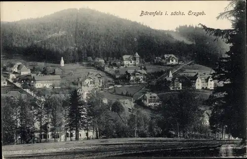 Ak Bärenfels Altenberg im Erzgebirge, Blick auf den Ort