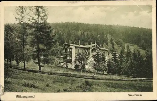 Ak Sokołowsko Blitzengrund Schlesien, Sanatorium, Waldpanorama