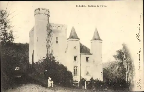 Ak Blesle Haute Loire, Château de Torsiac