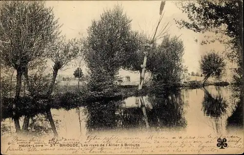 Ak Brioude Haute Loire, Les rives de l'Allier