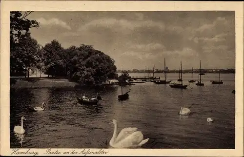 Ak Hamburg Eimsbüttel Harvestehude, Partie an der Aussenalster, Schwäne, Boote