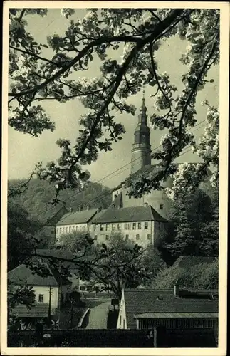 Ak Weesenstein Müglitztal in Sachsen, Schloss zur Baumblüte
