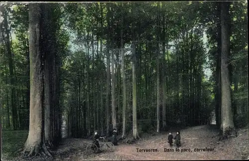 Ak Tervuren Flandern Flämisch Brabant, Dans le parc, carrefour