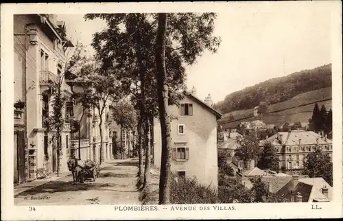 Ak Plombières Vosges, Avenue des Villas