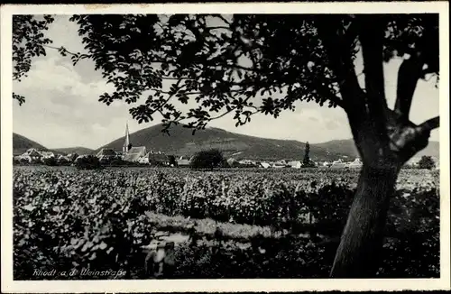 Ak Rhodt an der Weinstraße, Blick übers Feld zum Ort