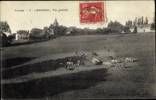 Ak Lubersac Corrèze, Vue générale, des Vaches