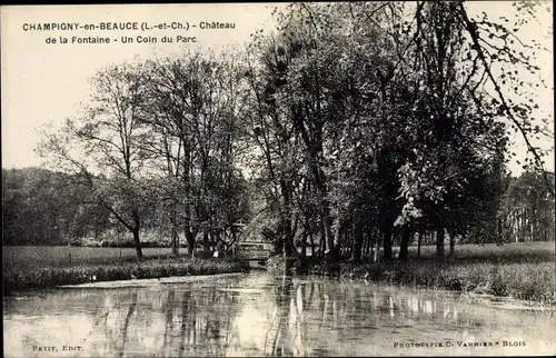 Ak Champigny en Beauce Loir et Cher, Chateau de la Fontaine, Un Coin du Parc