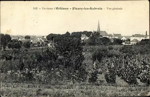 Ak Fleury les Aubraix Loiret, Vue générale