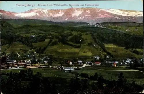 Ak Piechowice Petersdorf Schlesien, Riesengebirge, Wilhelmshöhe, Kiesewald, Schneegruben