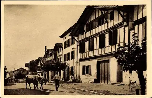 Ak Ainhoa Pyrénées Atlantiques, La grande rue du village, Dorfstraße