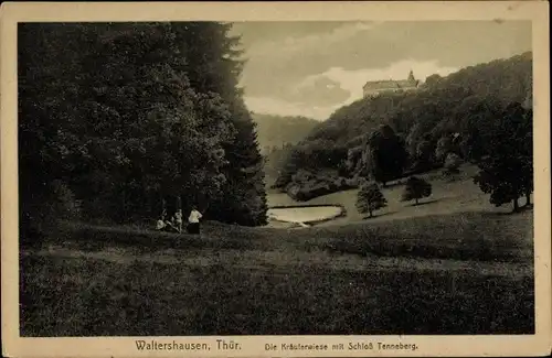 Ak Waltershausen im Thüringer Becken, Blick über die Kräuterwiese zum Schloss Tenneberg