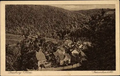 Ak Treseburg Thale im Harz, Gesamtansicht der Ortschaft umgeben von Wald