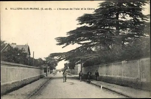 Ak Villiers sur Marne Val de Marne, L'Avenue de l'Isle et le Cèdre