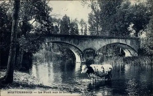 Ak Montcresson Loiret, Le Pont sur le Loing