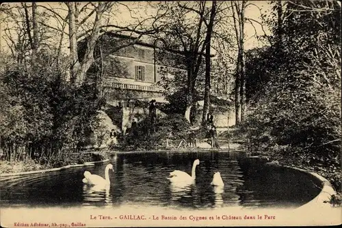 Ak Gaillac Tarn, Le Bassin des Cygnes et le Château dans le Parc