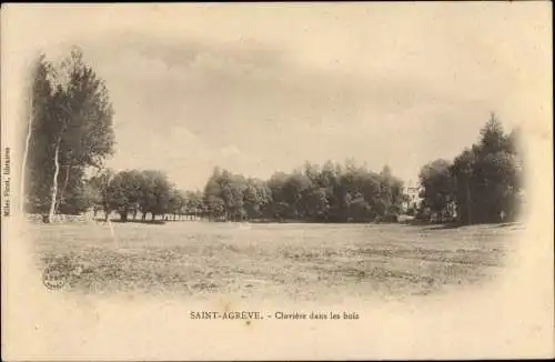 Ak Saint Agrève Ardèche, Clavière dans les bois