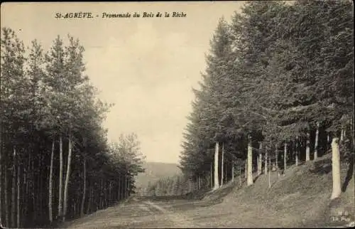 Ak Saint Agrève Ardèche, Promenade du Bois de la Rèche