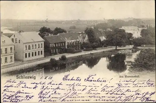 Ak Schleswig in Schleswig Holstein, Partie am Herrenstall
