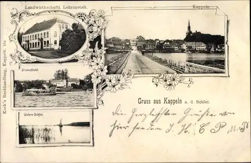 Ak Kappeln in Schleswig Holstein, Landwirtschaftl. Lehranstalt, Strandhotel, Untere Schlei