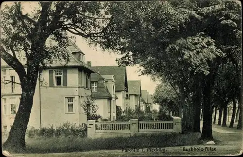 Ak Parchim in Mecklenburg Vorpommern, Buchholzallee