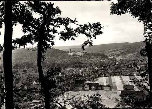 Ak Rudolstadt in Thüringen, Gesamtansicht