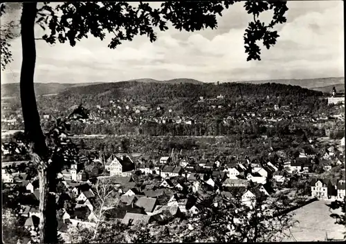 Ak Rudolstadt in Thüringen, Gesamtansicht