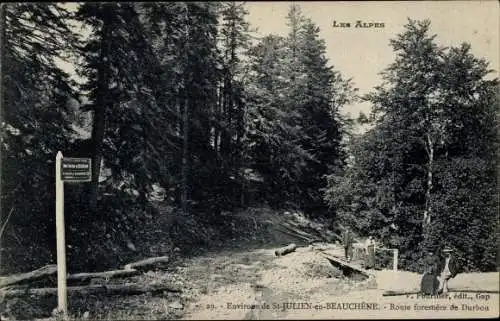Ak St. Julien en Beauchene Environs Hautes-Alpes, Route forestière de Durbon