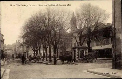 Ak Thoissey Ain, Place du College et Grande Rue, boeufs