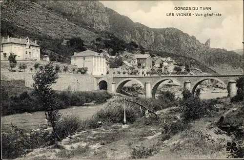 Ak Les Vignes Lozère, Vue générale, pont