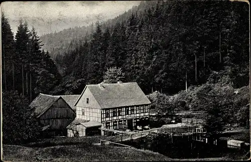 Ak Hohegeiß Braunlage im Oberharz, Hotel Wolfsbachmühle, Totalansicht
